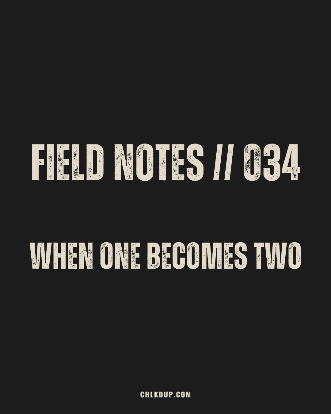 FIELD NOTES // 034 - WHEN ONE BECAME TWO